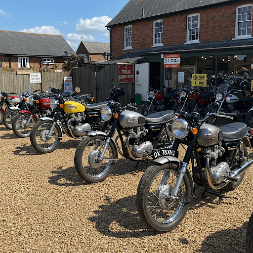 Bringing Home a Bundle of Joy: A Guide to Dachshund Puppies in the UK