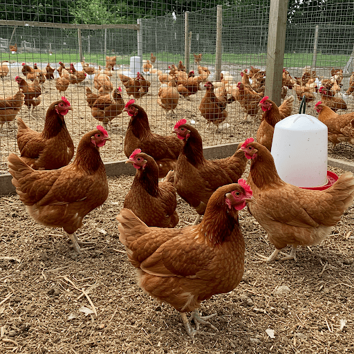 Unlock Amazing Savings: Your Ultimate Guide to Nabbing the Best Laptop Sale Deals in the UK