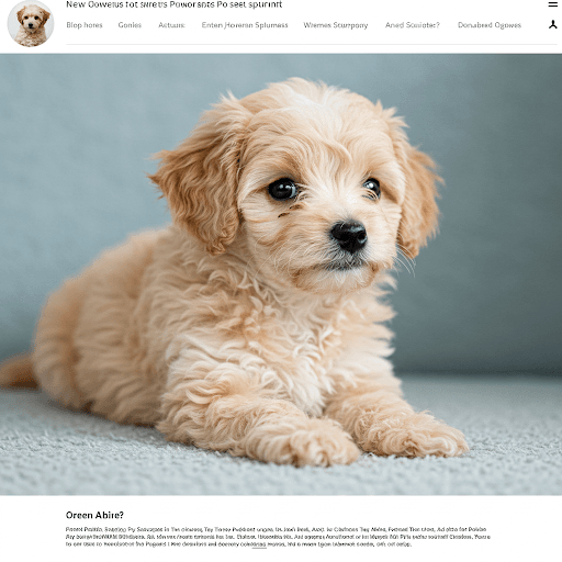 Snuggle Up for Less: Your Ultimate Guide to Finding Woolovers Discount Codes and Savings